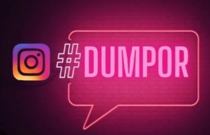 How Does Dumpor Work_